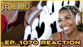 CAN YOU HEAR THE DRUMS FOR JOYBOY'S RETURN!? | ONE PIECE EPISODE 1070 REACTION