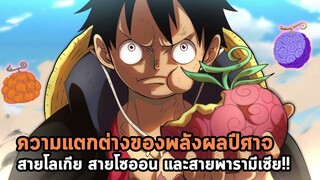 วันพีช - ผลปีศาจ โซออน โรเกีย พารามีเซีย แตกต่างกันยังไง!?!