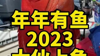 这个季节南海鱼情堪称完美