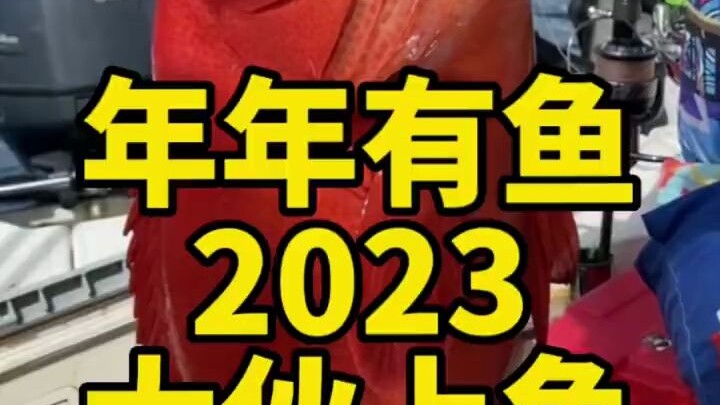 Mùa này, tình hình đánh bắt cá ở Biển Đông quả thực hoàn hảo