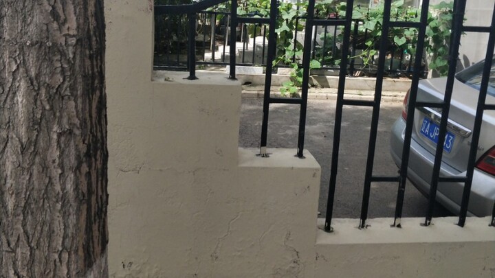 مفاجأة! تدمير المكان المقدس في شارع شنيانغ!