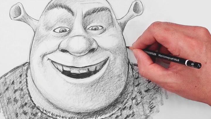 I drew a picture of Shrek—everyone who saw it fell silent.