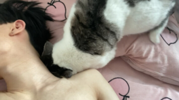 เกี๊ยว: ทำไมผู้หญิงคนนั้นถึงมาที่นี่อีก?