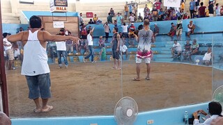 2 wins champ @daan bantayan cebu. fight 1