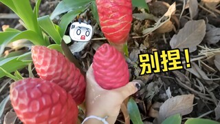 看了这个，我有点不舒服😣