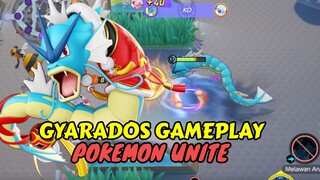 Gyarados gameplay Super Angresif