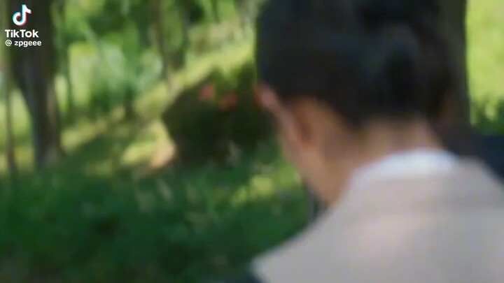 twinkling watermelon edit