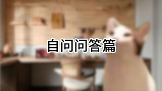 【高达代工日常OVA】男子代工人的日常（问答篇） | 猫meme