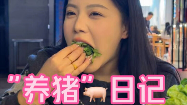 Những ngày không cập nhật đều đang chăm chỉ nuôi heo 🐽