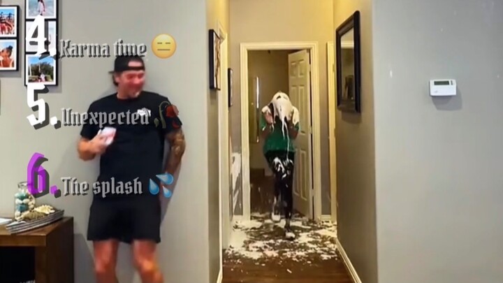 Best Milk Splash Moments