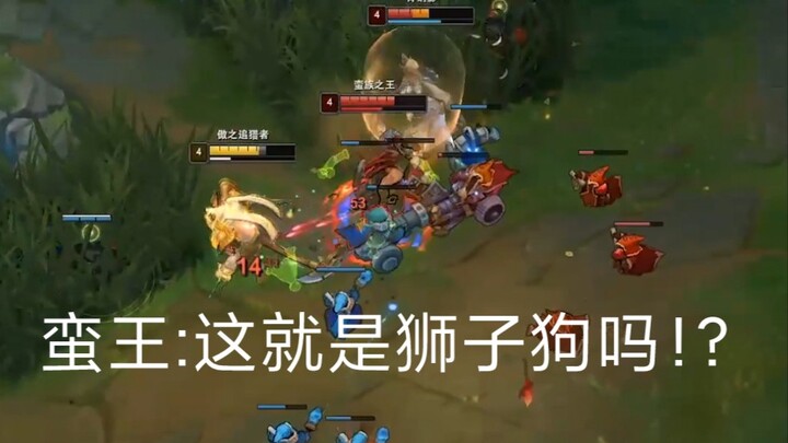 Raja Barbar: Jadi ini namanya anjing singa!?