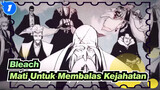 Bleach | Aku Lebih Baik Mati Untuk Membalas Kejahatan. Inilah Bleach_1