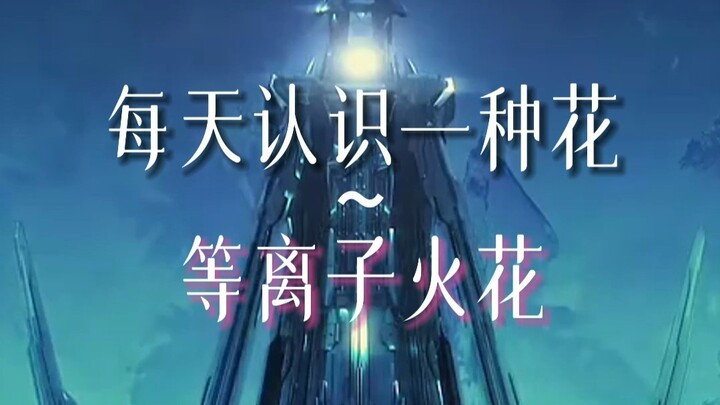 The flower language of the plasma spark is: “Ultraman Evolution”