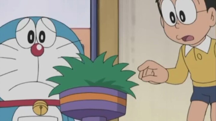 ini tumbuhan apa doraemon