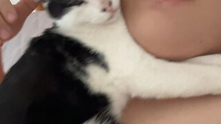 هيهي، لصق لصق