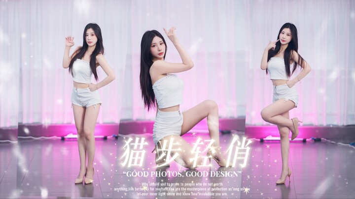 [Protein][4K] Kucing liar kecil berwarna putih datang