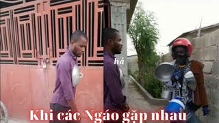 Những đứa con thất lạc của thần biển #44 / Khi các Ngáo gặp nhau 😂😂😂