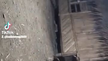 my original multi-winner peruvian💪💪💪🥰🥰