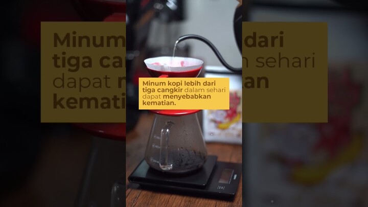 hati2 buat pencinta kopi!! bahaya minum kopi #dramareview #bahayarokok #ilmu