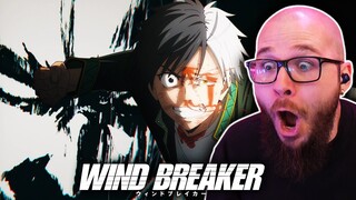 Succeeding The Past | WIND BREAKER Episode 8 REACTION!