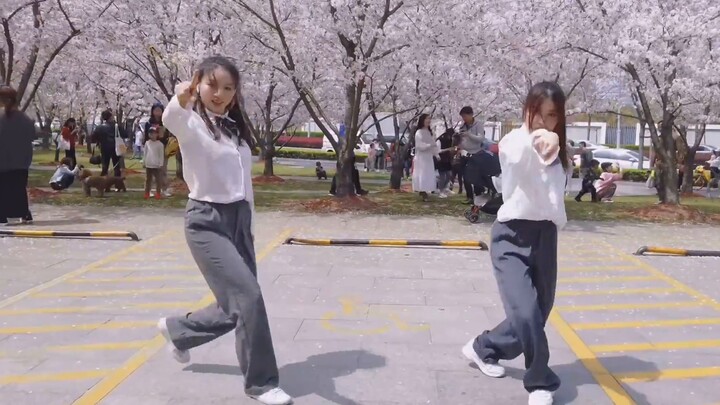 We rock Youth With You 3 theme song under the cherry blossom tree double super synced dance