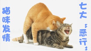 【科普】太羞耻了！细数猫咪发情期的七大“恶行”！连铲屎官看了都受不了！