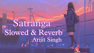 Tu Meri Sari Yaden Pani Mein Baha De | Tu Meri Saari Yaadein | Badrang Me Satranga - Slowed Reverb