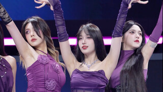 伟大的紫色群像 扑面而来的香气