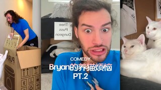 مشاكل تربية القطط لأخت القرش الجزء الثاني