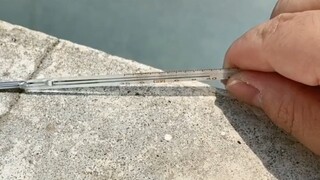 让你们看看广东的天气，太很辣
