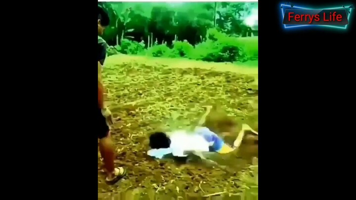 Kumpulan video lucu indonesia #2 (Indonesia selebgram)
