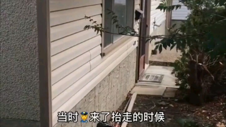 A Canadian elderly neighbor had a large family, yet he died alone; after his passing, his children a