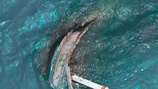 Snorkeling at a Maldives shipwreck 🇲🇻