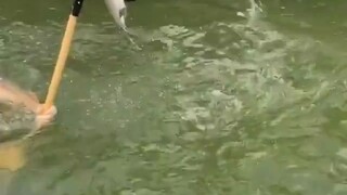 低配版海王