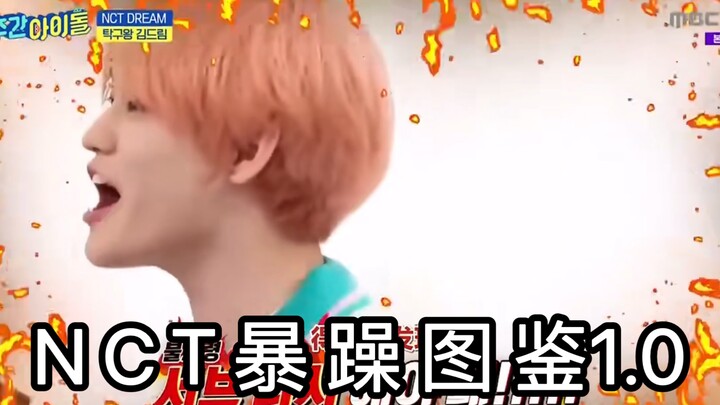 “คู่มือภาพอารมณ์ฉุนเฉียวของ NCT 1.0”