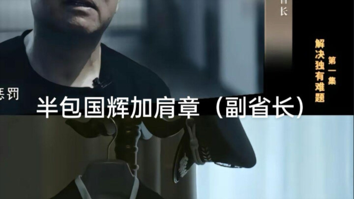 So, Director Qi, do you really think becoming a vice governor means everything will be fine now?