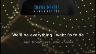 Imagination by Shawn Mendes