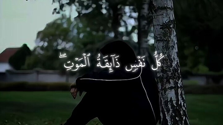 Quran recites