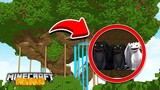 These DRAGONS LIVE IN TREES?! - Minecraft Dragons S2