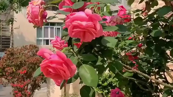 什么样的居住环境更安全？