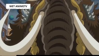 Top 5 Thanh Niên Máu Liều Nhiều Hơn Máu Não trong One Piece #13 8