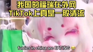 我国的福瑞在外网TikTok上真是一股清流