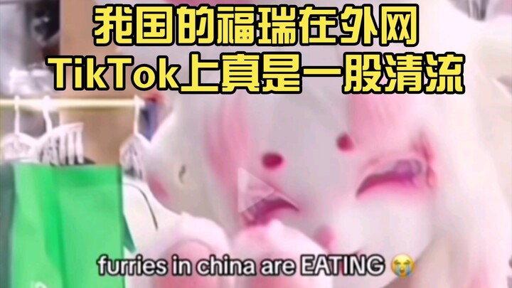 我国的福瑞在外网TikTok上真是一股清流