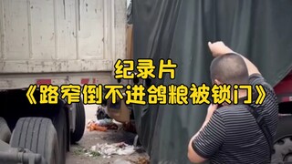 The epic documentary "Narrow Road, Can't Fit the Pigeon Feed, and Got Locked Out" continues to air f