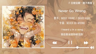 "คงจะดีใจมากถ้าได้ฟังเพลงนี้ในฤดูร้อน" || "Never Go Wrong"
