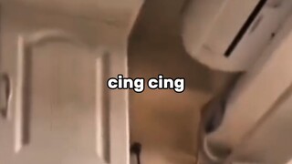 kucing depresi#zaintemanime #reaction #reactionvideo #lucu #videolucu #fyp #jowo #wongjowo #meme #ku