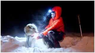 Another Crazy SNOW STORM | Cabin Life During Polar Night on Svalbard