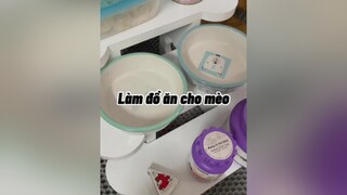 Ăn trưa đơn giản vậy thôi 🥲🥲🥲 mèo cat cute