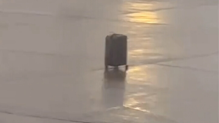Whose suitcase is this?