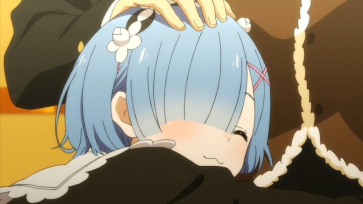 The squishy Rem is so cute!
